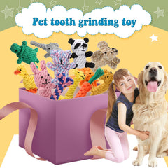 Sumind pato, juguete de cuerda para perro, entretenimiento y limpieza bucal