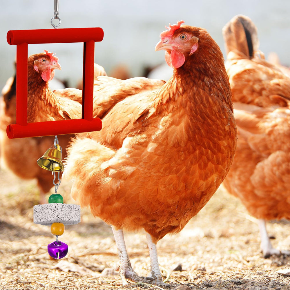 Sumind grupo de cuatro piedras para moler picos, actividad para aves.