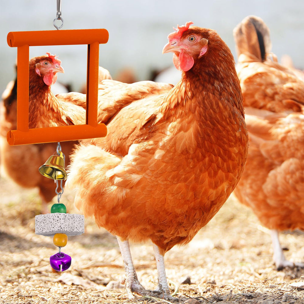 Sumind piedras molar pico, aptas para el cuidado del pico de aves.