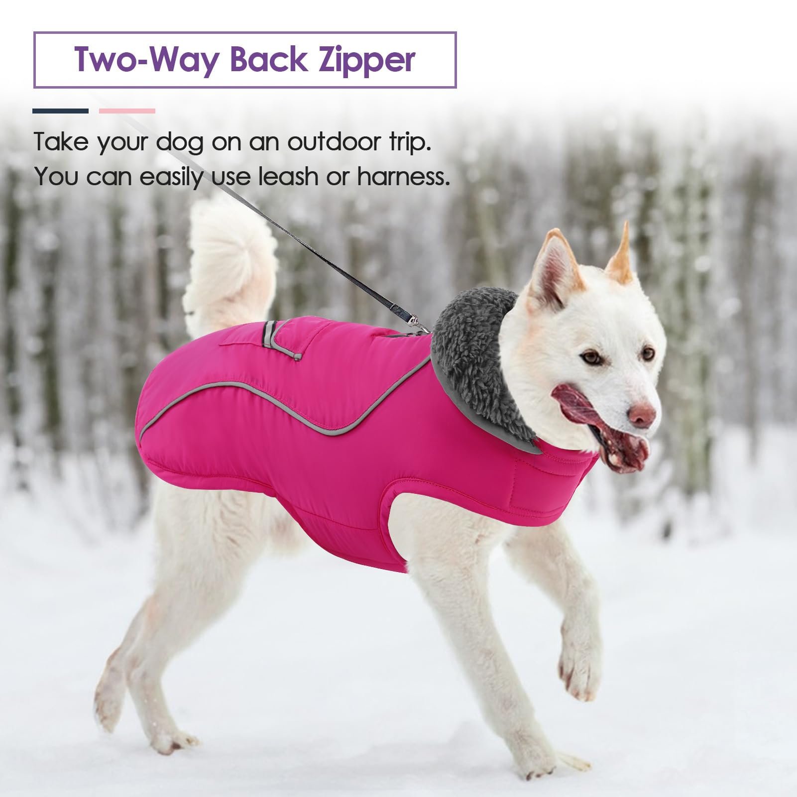 Apto para todas las razas pequeñas SUNFURA, ideal para uso diario de invierno.
