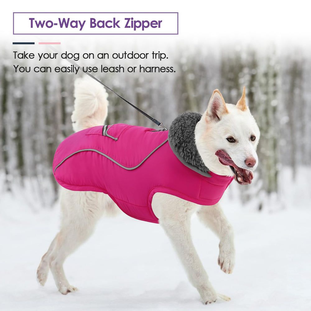 Apto para todas las razas pequeñas SUNFURA, ideal para uso diario de invierno.