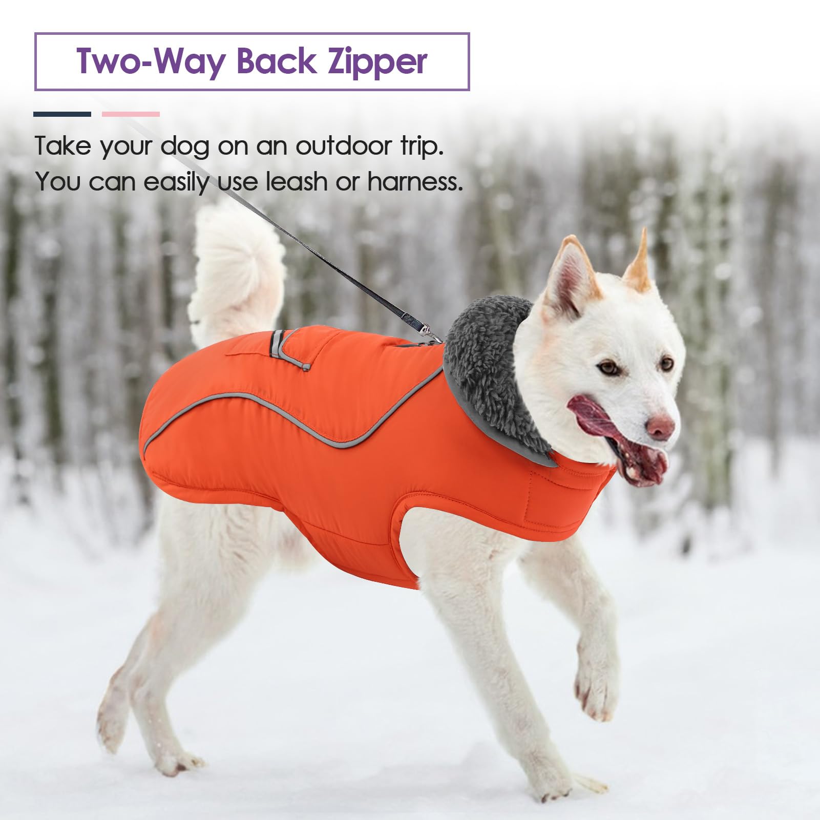 SUNFURA chaqueta perro invierno uso diario: protección ligera para salidas habituales