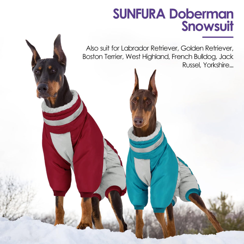 SUNFURA modelo burdeos para perros medianos, ideal como Boston Terrier.