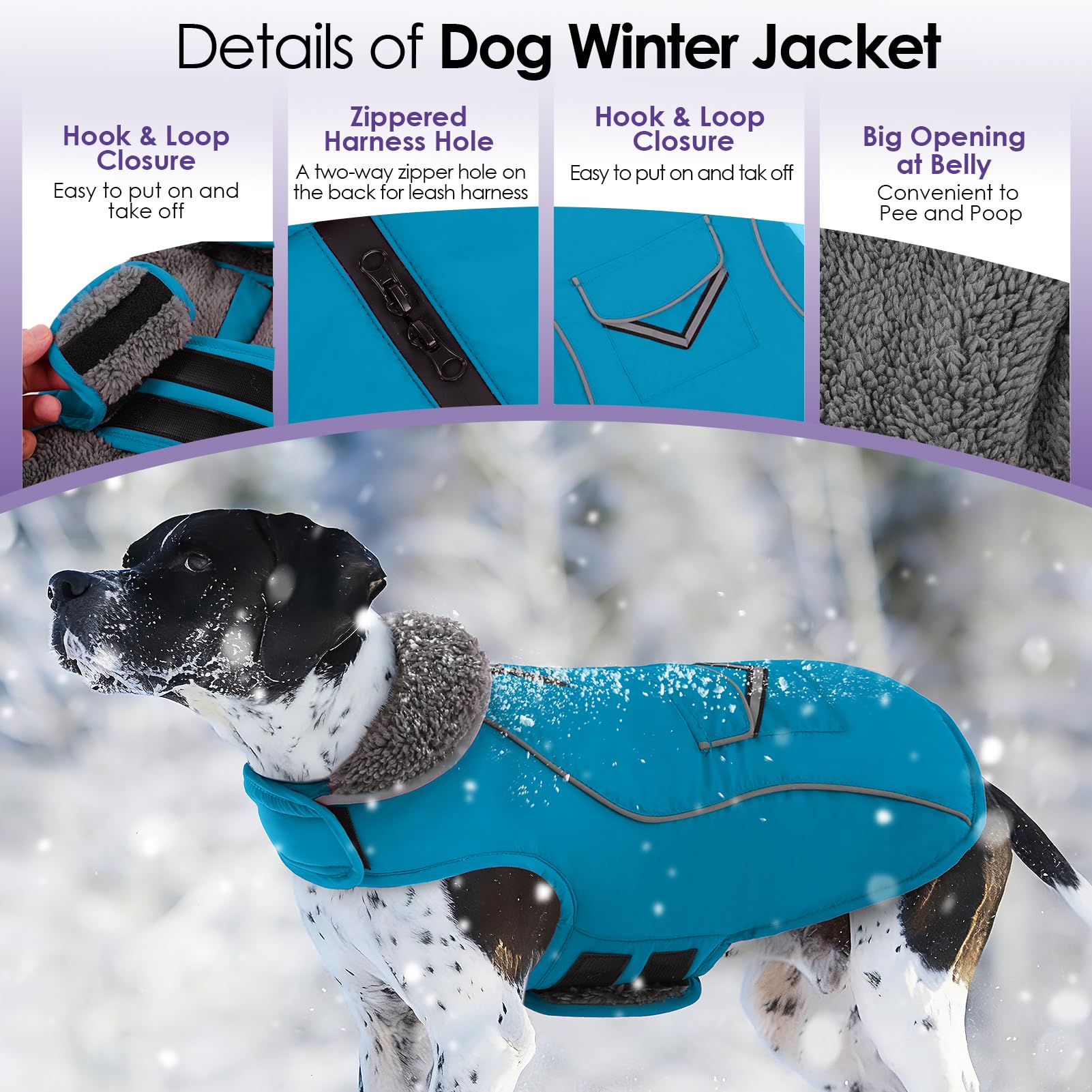 SUNFURA cierre velcro perro: ponible rápido para diferentes cuerpos