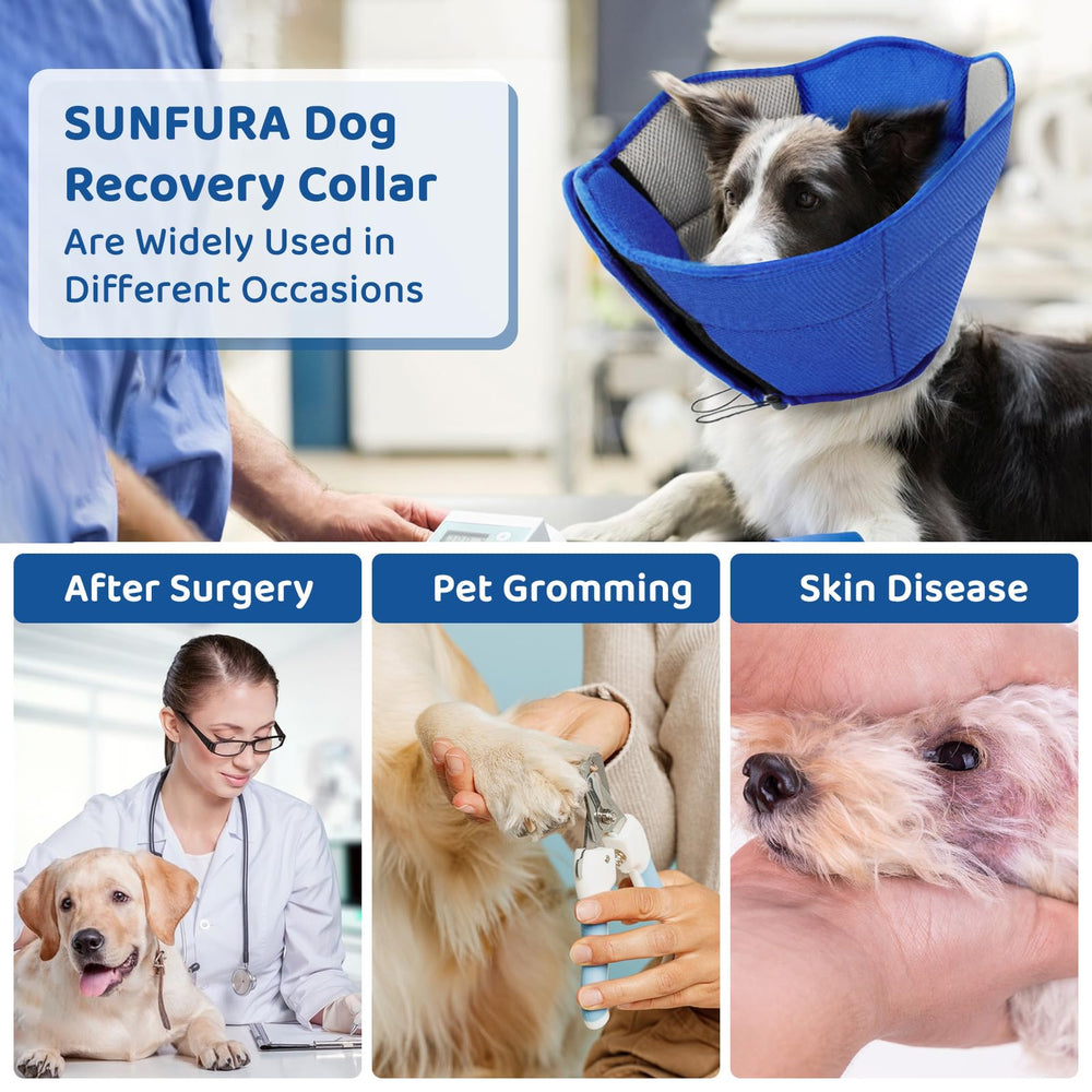 SUNFURA Cono para todas las razas, tamaño pequeño ideal para cuello.