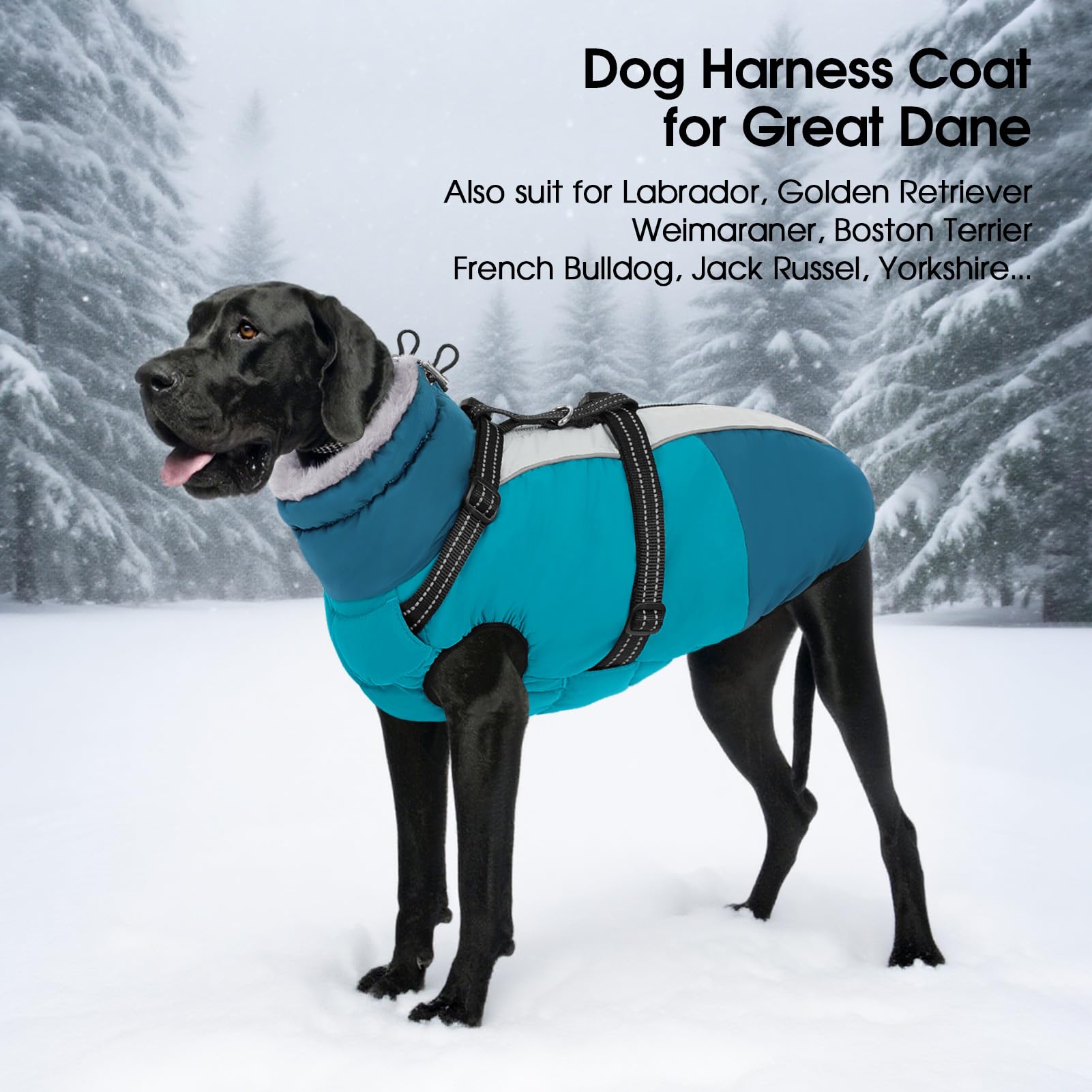 SUNFURA diseño universal para tallas variadas de perros.