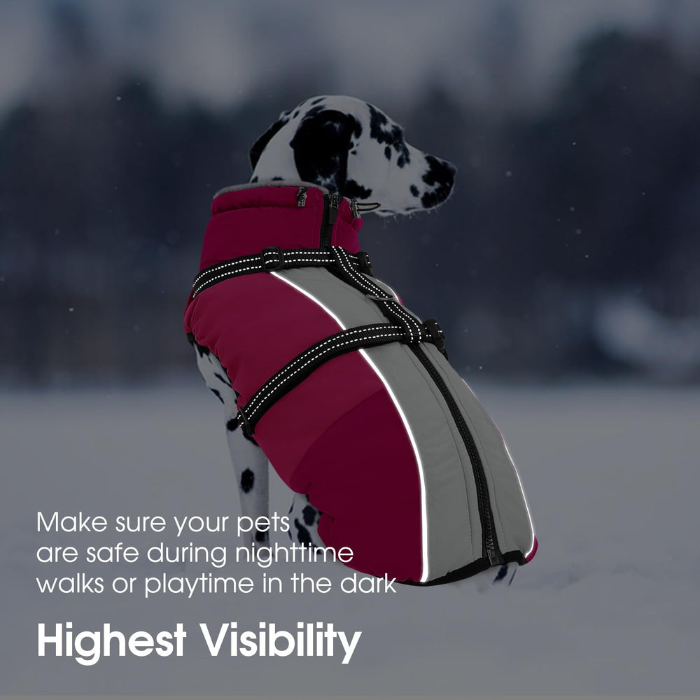 SUNFURA modelo en tallas variadas para perros pequeños a grandes.