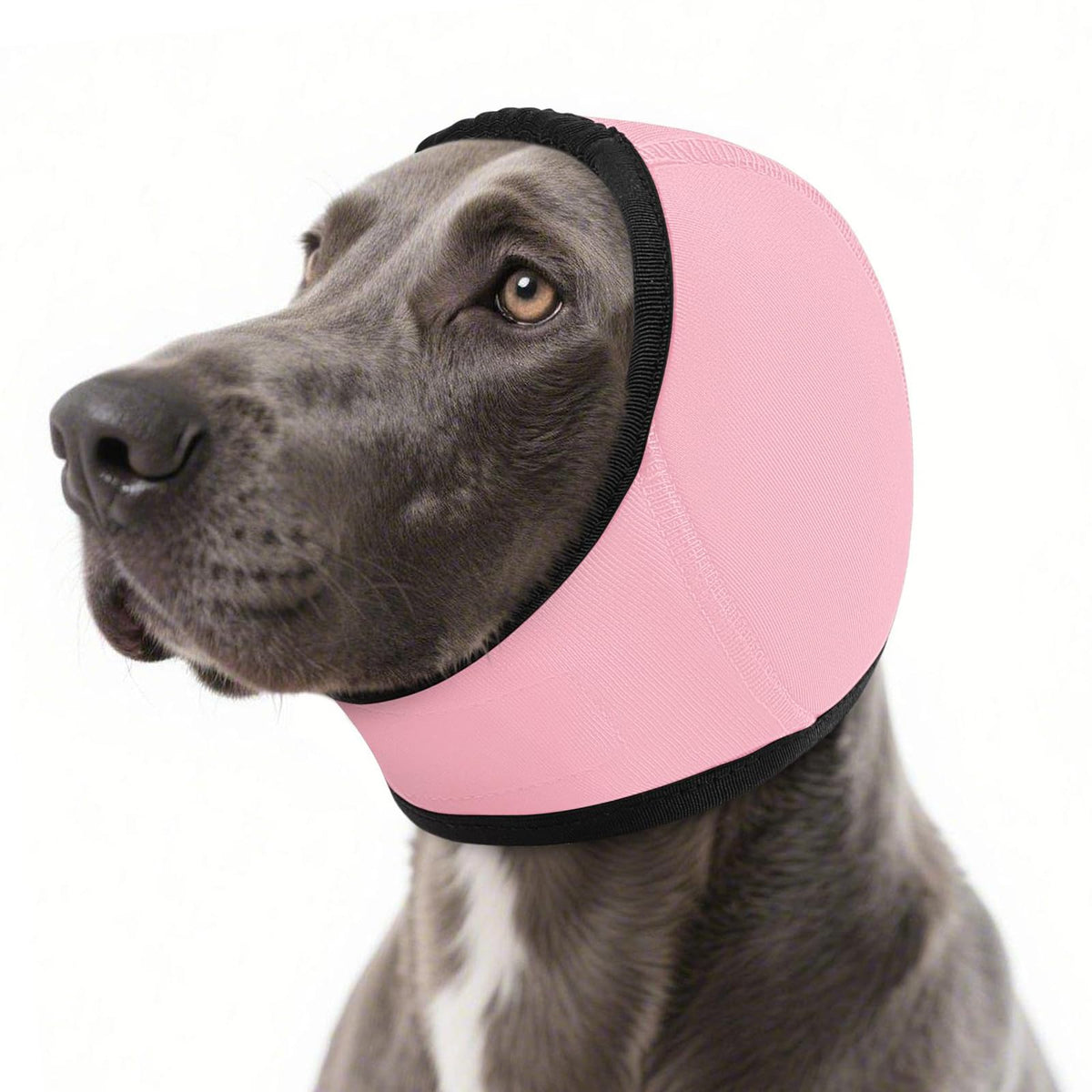 SUNFURA: sudadera calmante para perro con orejas cubiertas para comodidad en paseos.