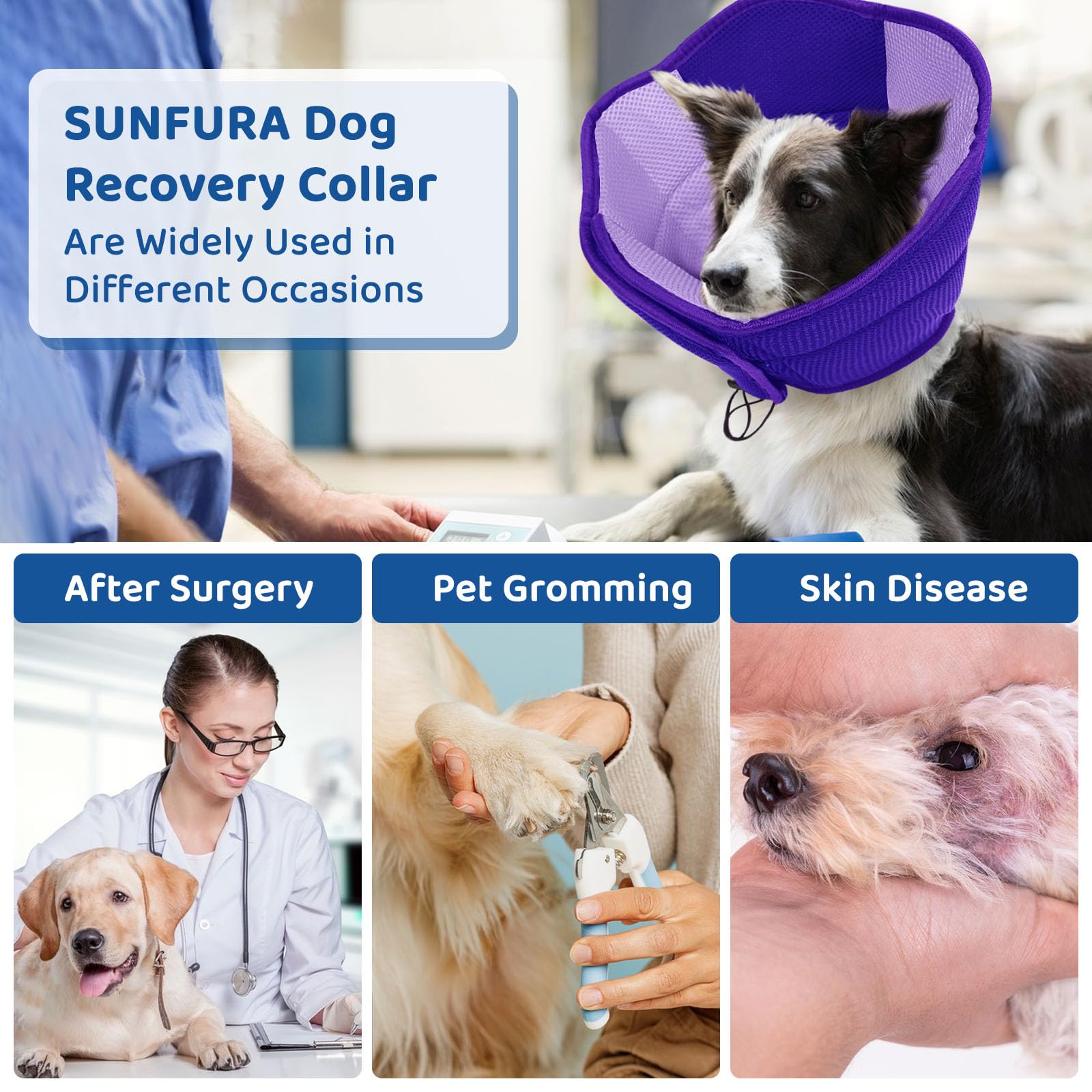 SUNFURA proteccion postoperatoria para todas las razas y tamaños.