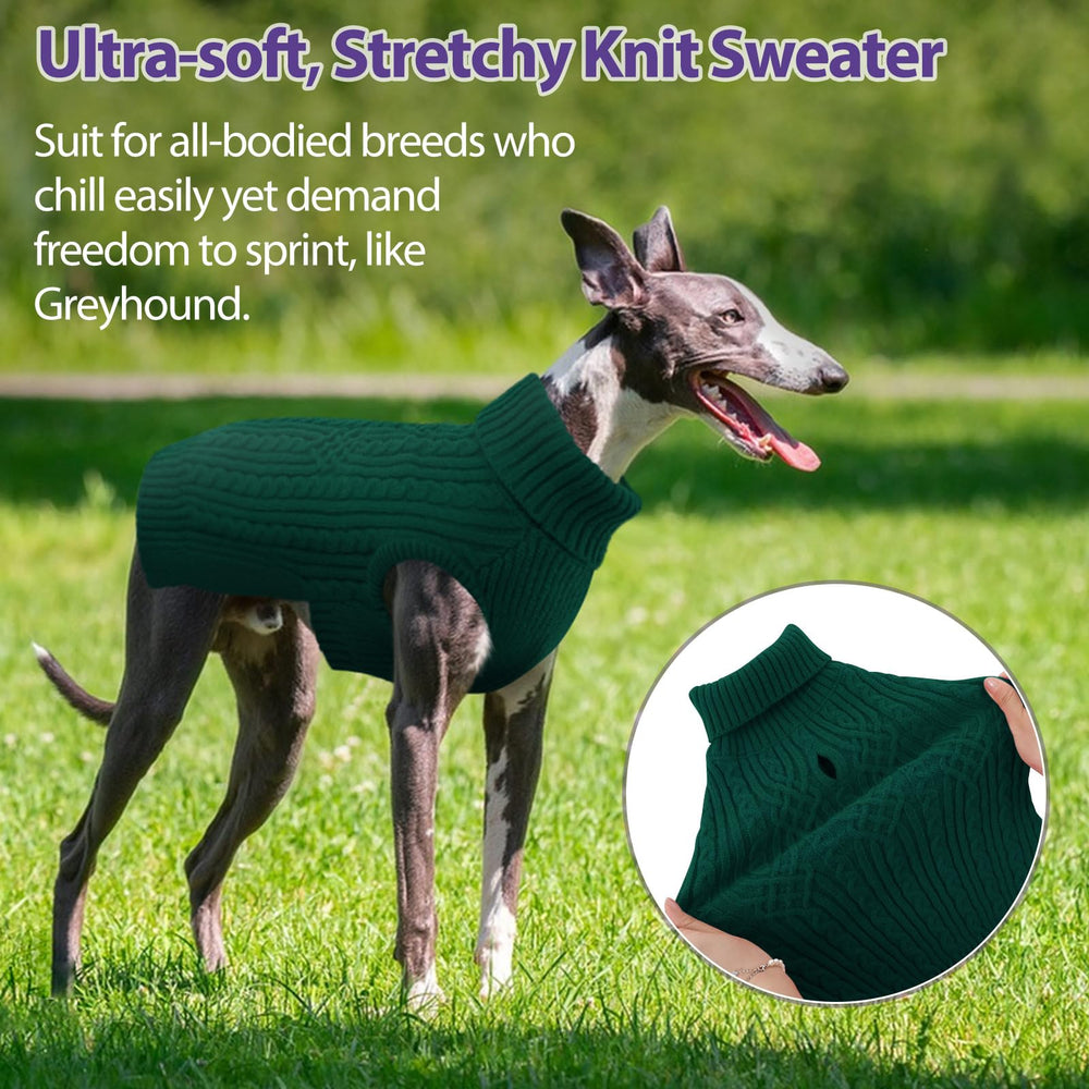 SUNFURA sudadera para perro apertura abdomen: permite hacer sus necesidades sin manchar