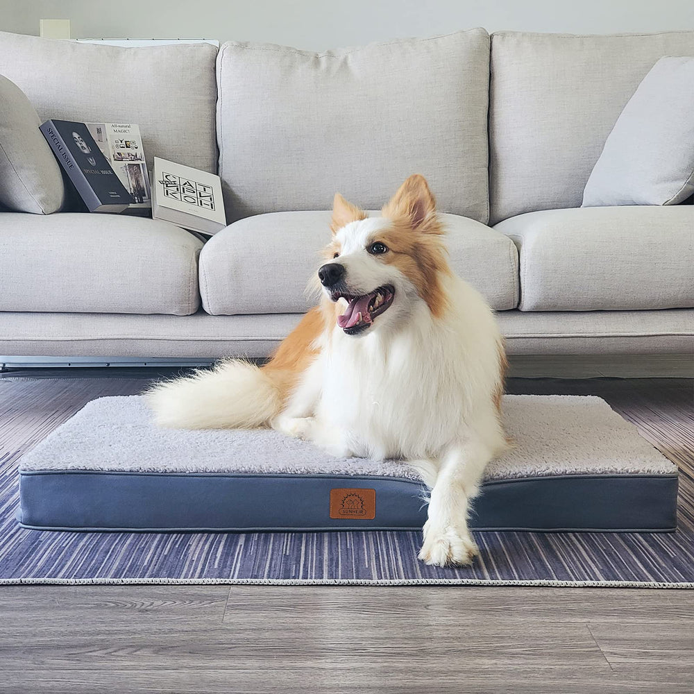 Sunheir cama rectangular para perros grandes, perfecta para dormir estirado.