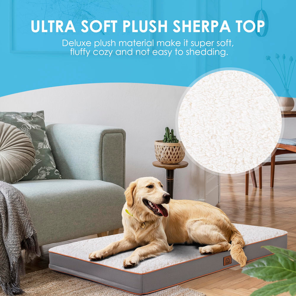 Sunheir cama XXL en sala de estar para perros grandes.