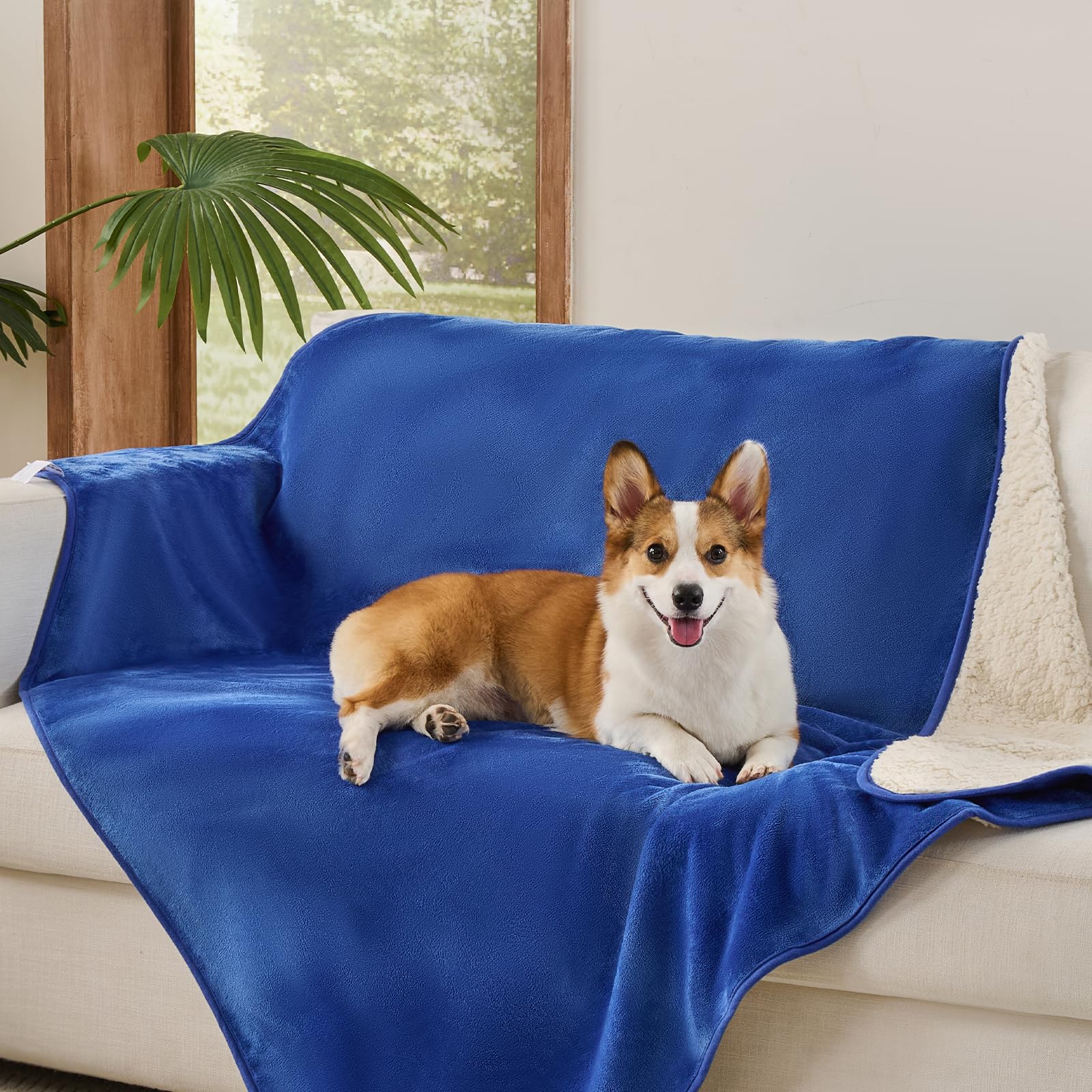 Sunheir manta impermeable para perros medianos, frente, protección anti manchas