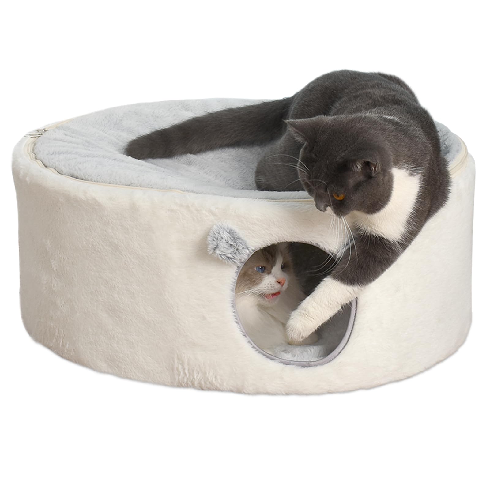 Sunhoo cama elevada para gatos con funda lavable y descanso cómodo