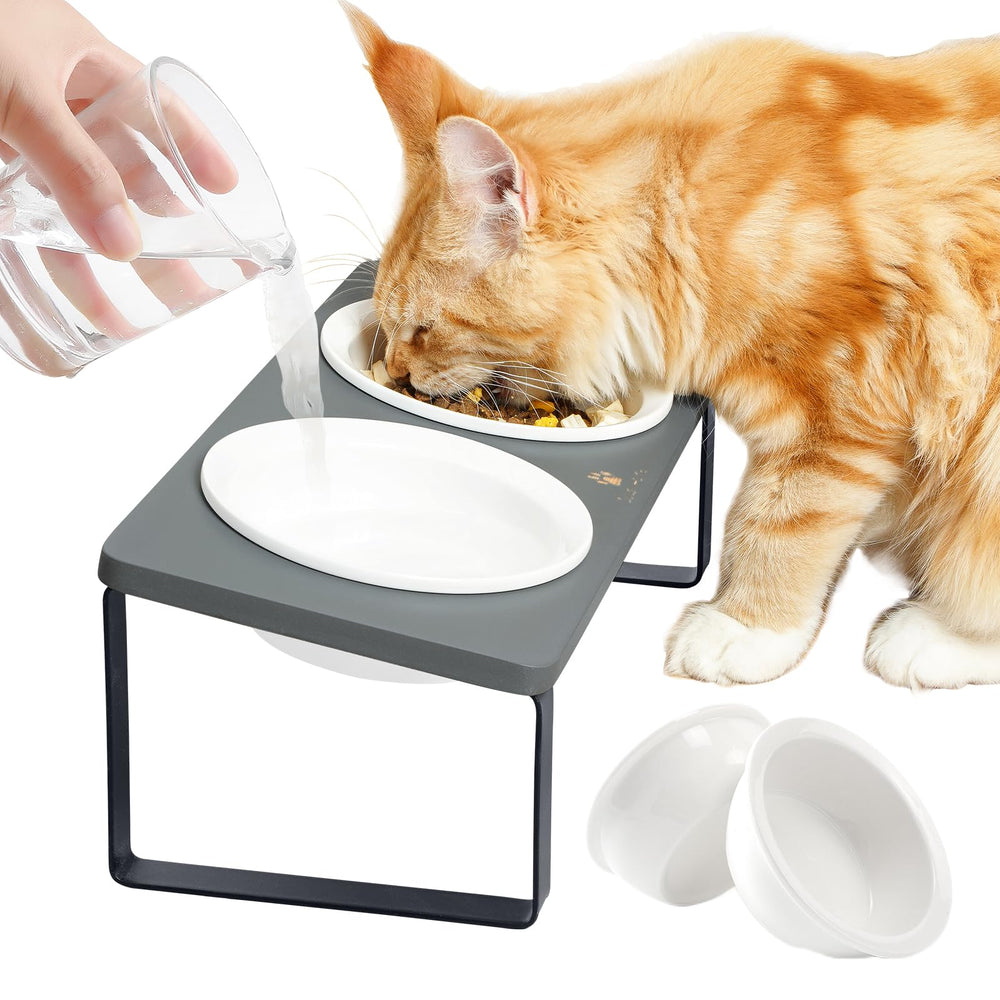 Sunhoo platos cerámicos elevados para gatos, ideales para una postura cómoda durante la comida.
