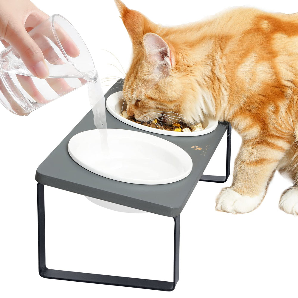 Sunhoo tazones ceramicos elevados para gatos, alimentación más ergonómica.