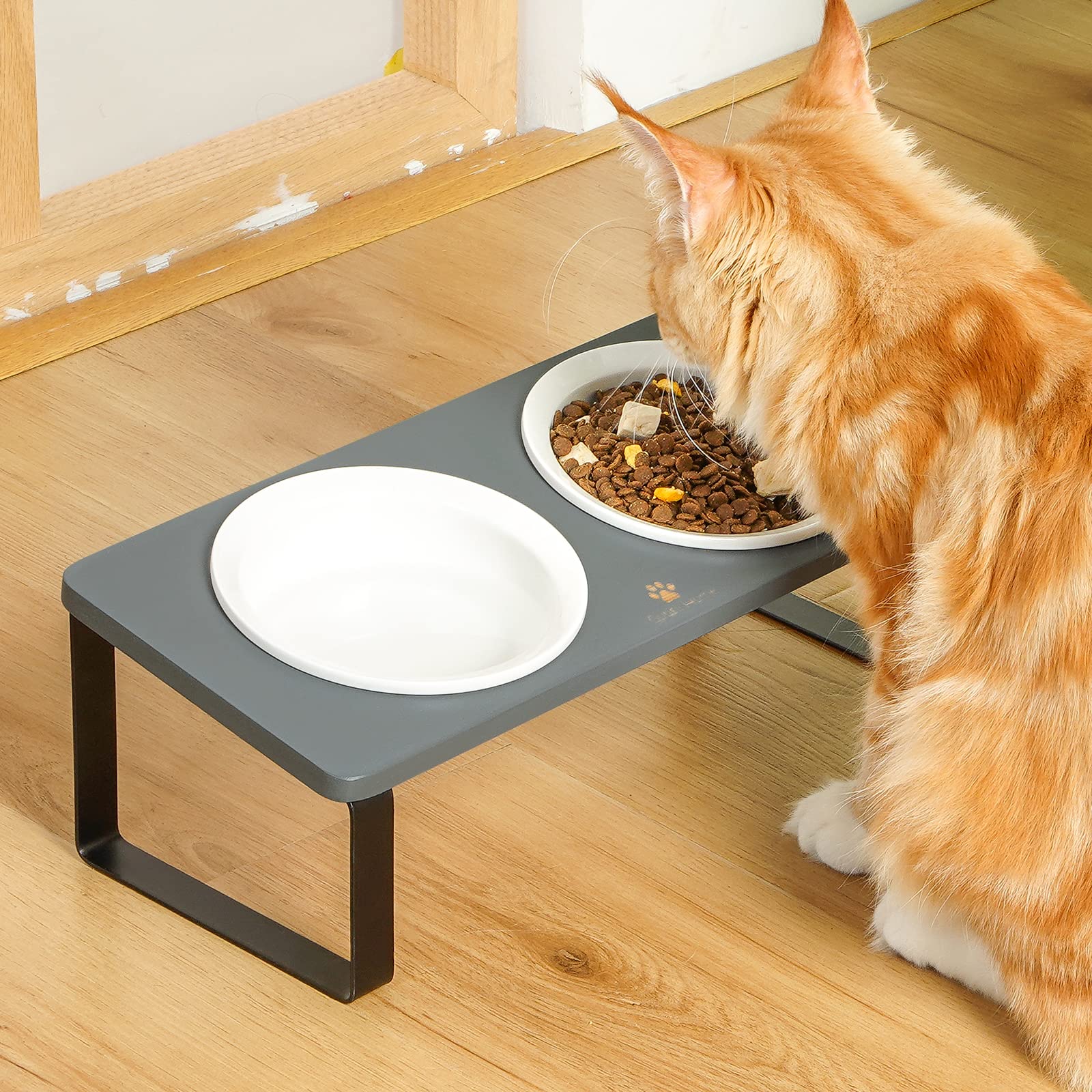 Sunhoo zona de comida ordenada para gatos, limpieza más fácil.