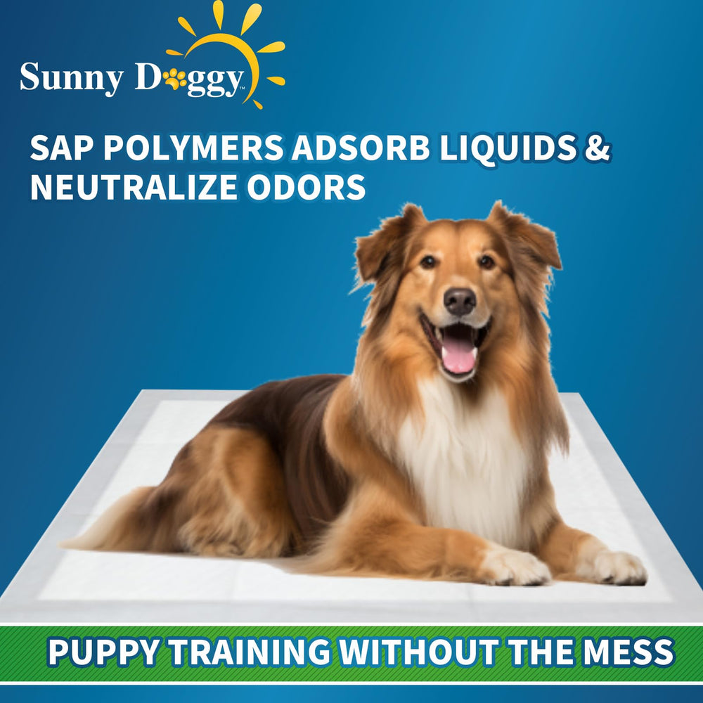 Sunny Doggy almohadillas entrenamiento, desechables y convenientes para viajes