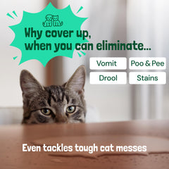Limpieza de tapicería con Sunny & Honey, sofá libre de manchas