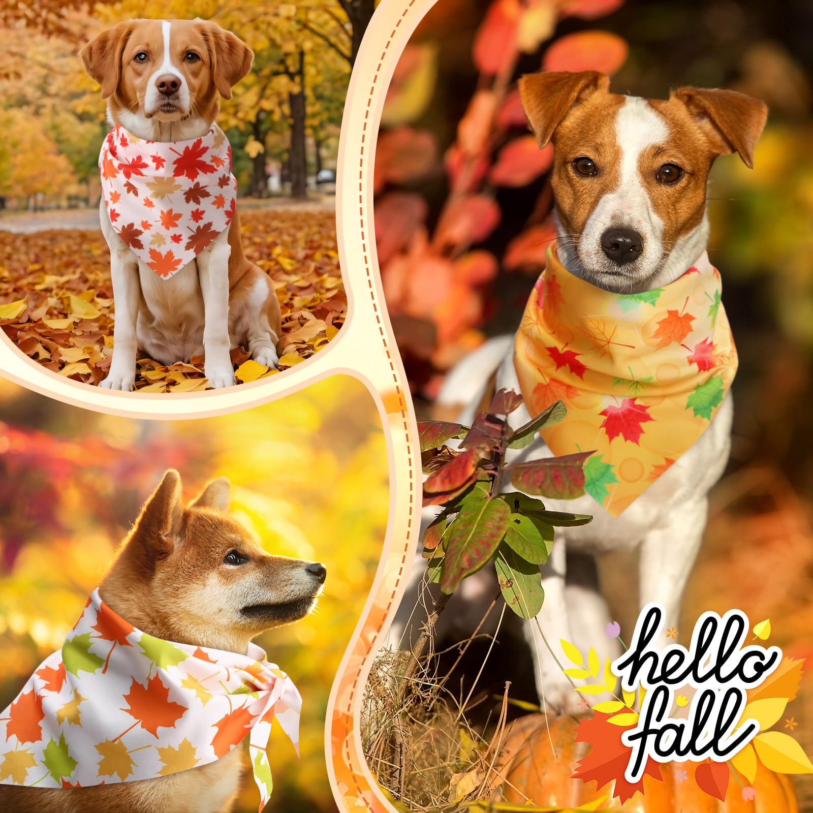 Sunnymove bandanas para ocasiones festivas de otoño, aportan estilo y personalidad.