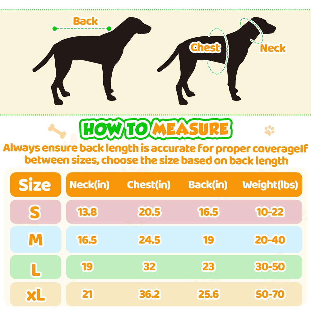 Botas Sunnymove para perro, suelas antideslizantes negras protegen patas mojadas