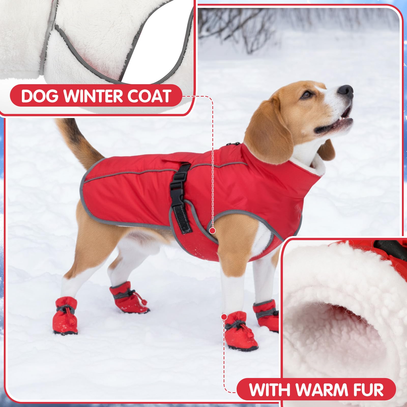 Sunnymove conjunto reflectante para perro: mayor visibilidad en salidas nocturnas.