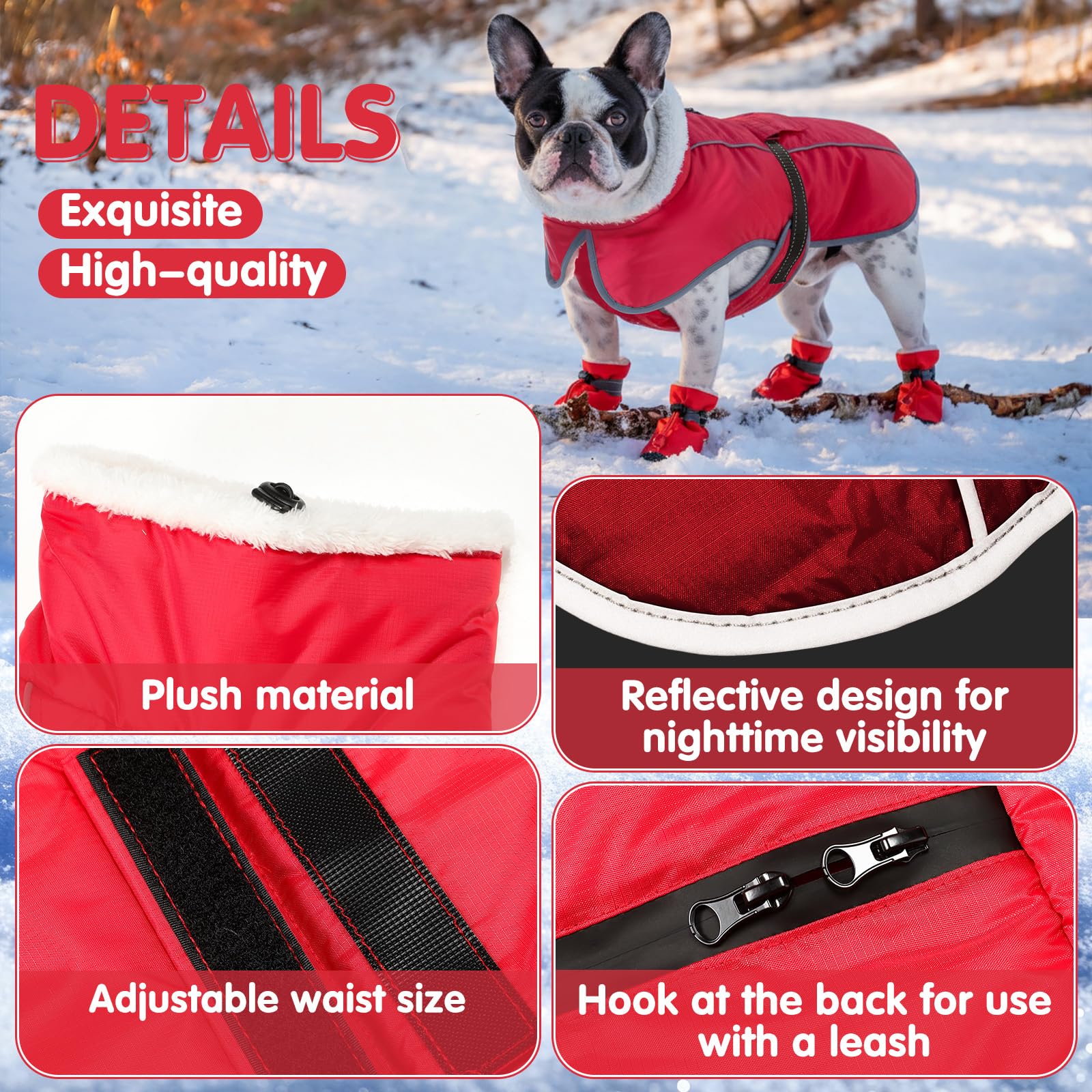Sunnymove correa para perro impermeable: paseos seguros bajo lluvia o nieve.