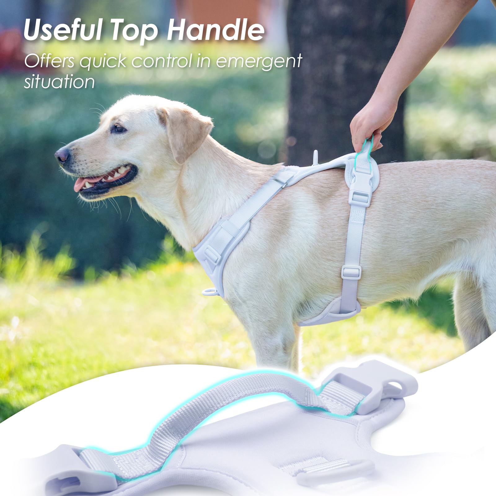 Sunraymascota correas totalmente ajustables para un ajuste perfecto y cómodo.