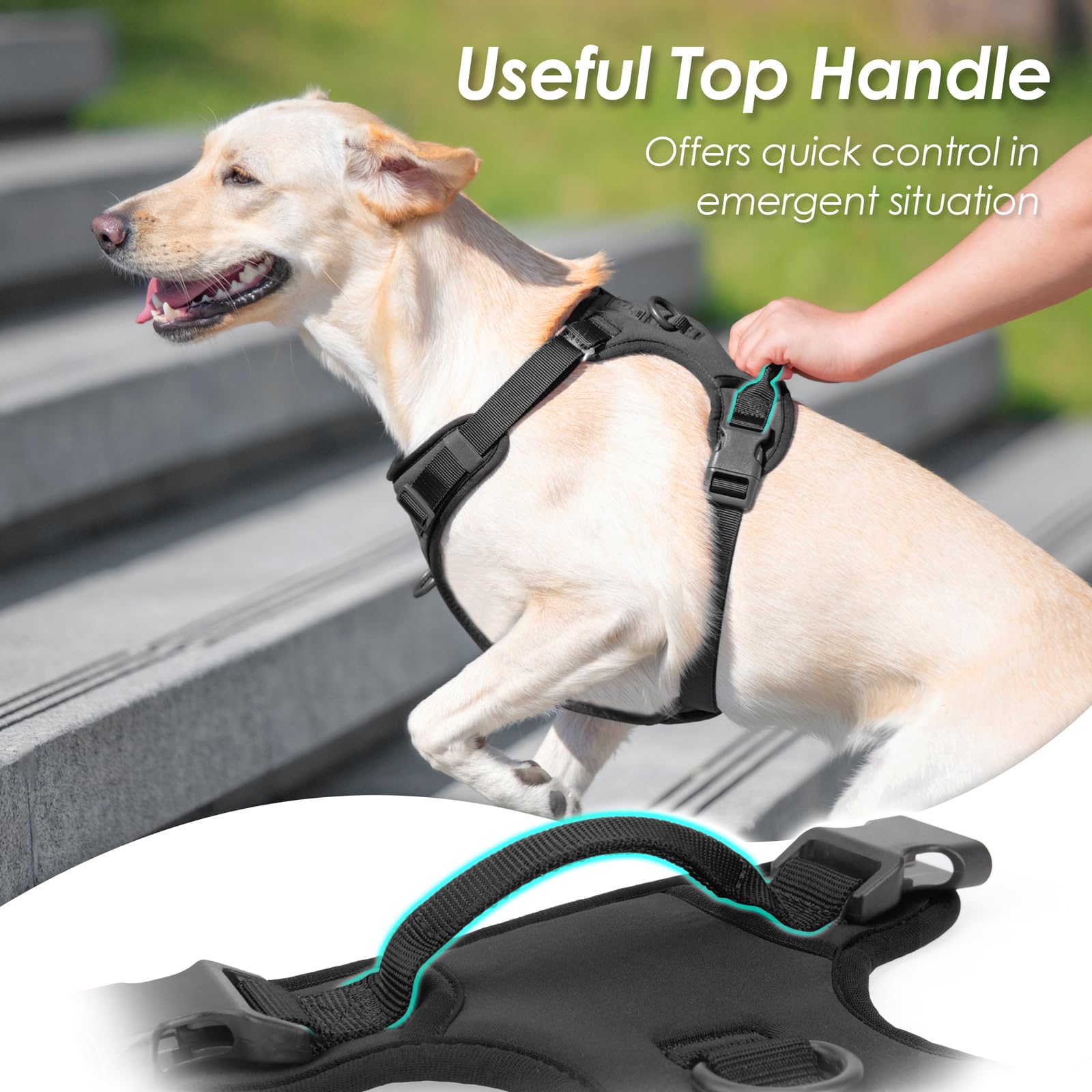 Arnés Sunraymascota ajustable para un ajuste perfecto y cómodo.