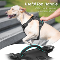 Arnés Sunraymascota ajustable para un ajuste perfecto y cómodo.