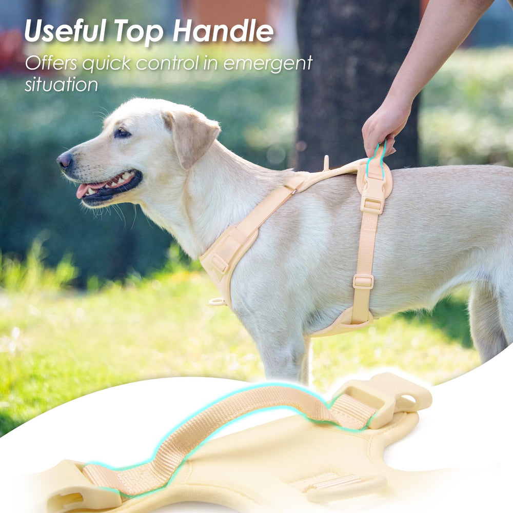 Sunraymascota arnés ajustable para un ajuste cómodo y crecimiento.