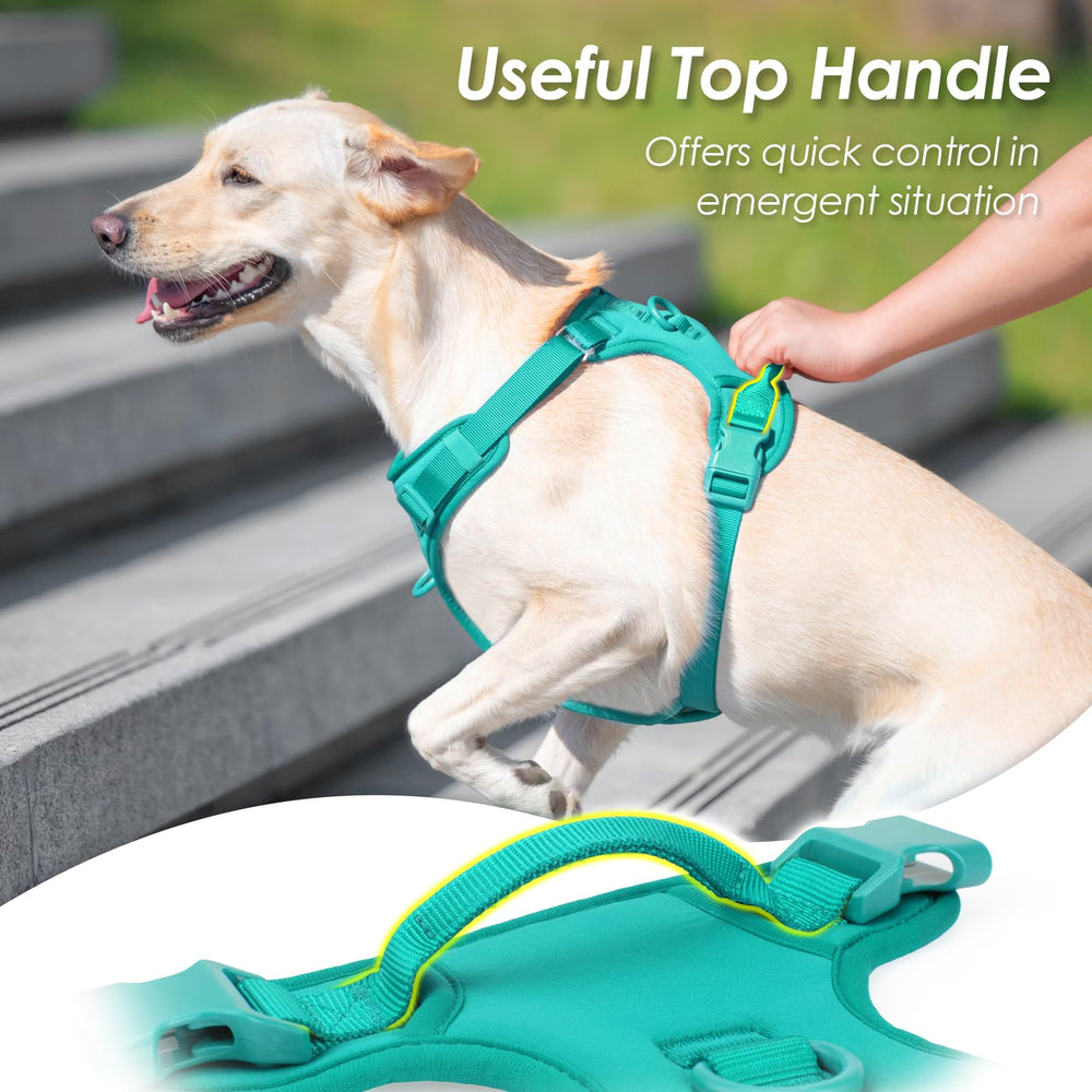 Sunraymascota arnés totalmente ajustable para adaptar al cuerpo de cualquier tamaño.
