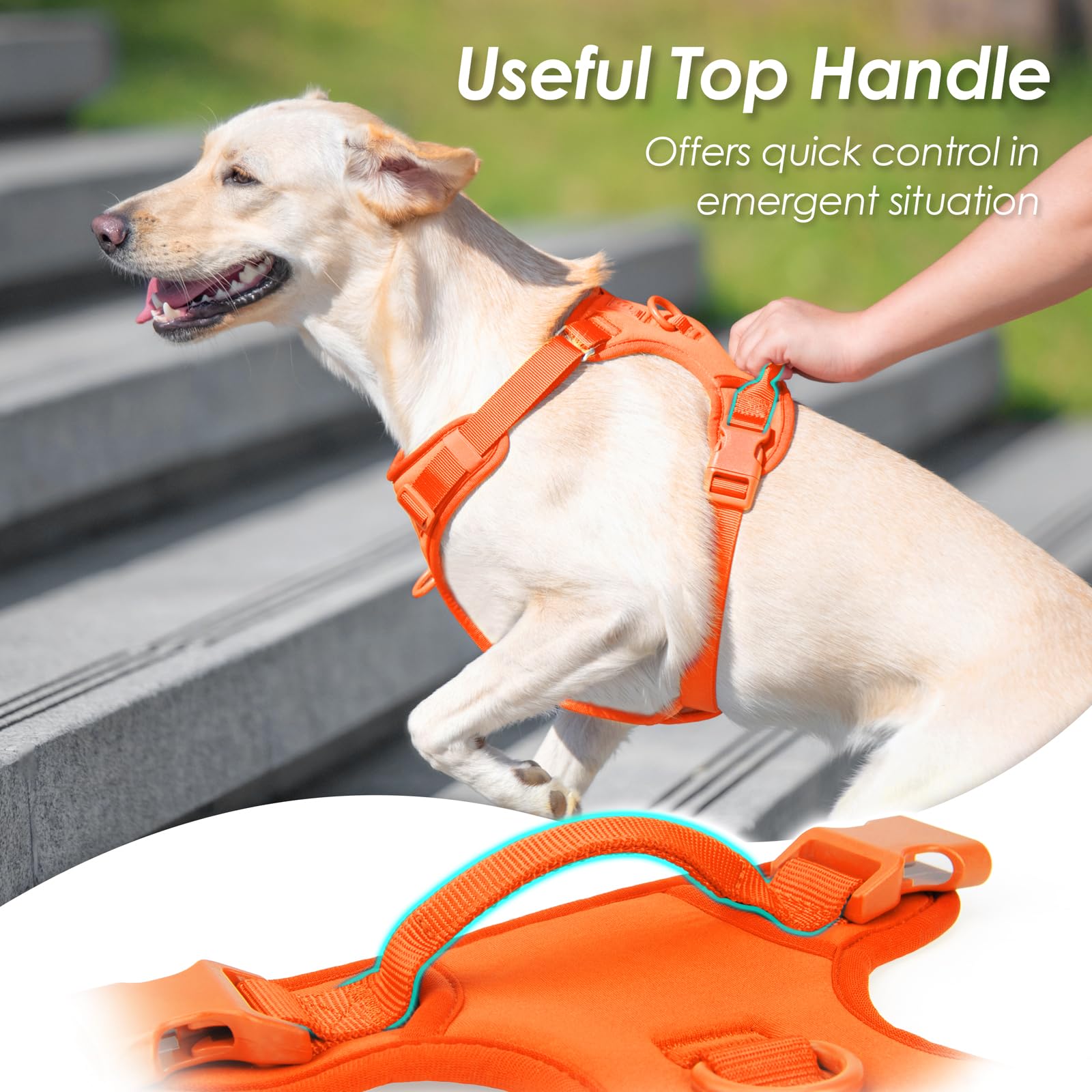 Sunraymascota arnés con ajuste completo para adaptar diferentes cuerpos