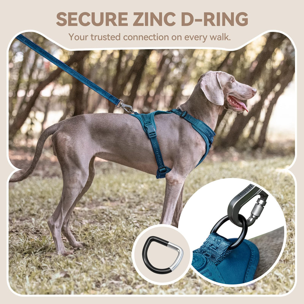 Arnés Sunraymascota aro D de zinc para conexión fiable.