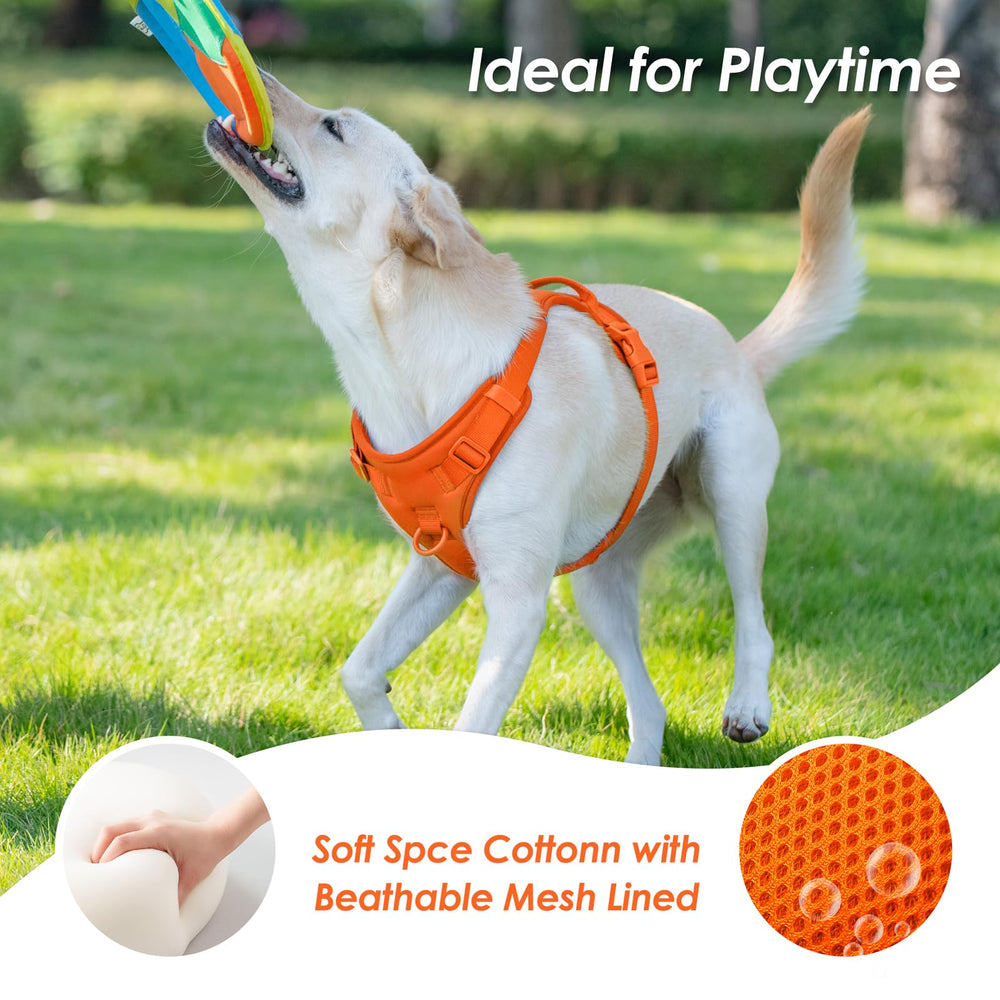Sunraymascota arnés capa exterior de algodón para calidez y estilo