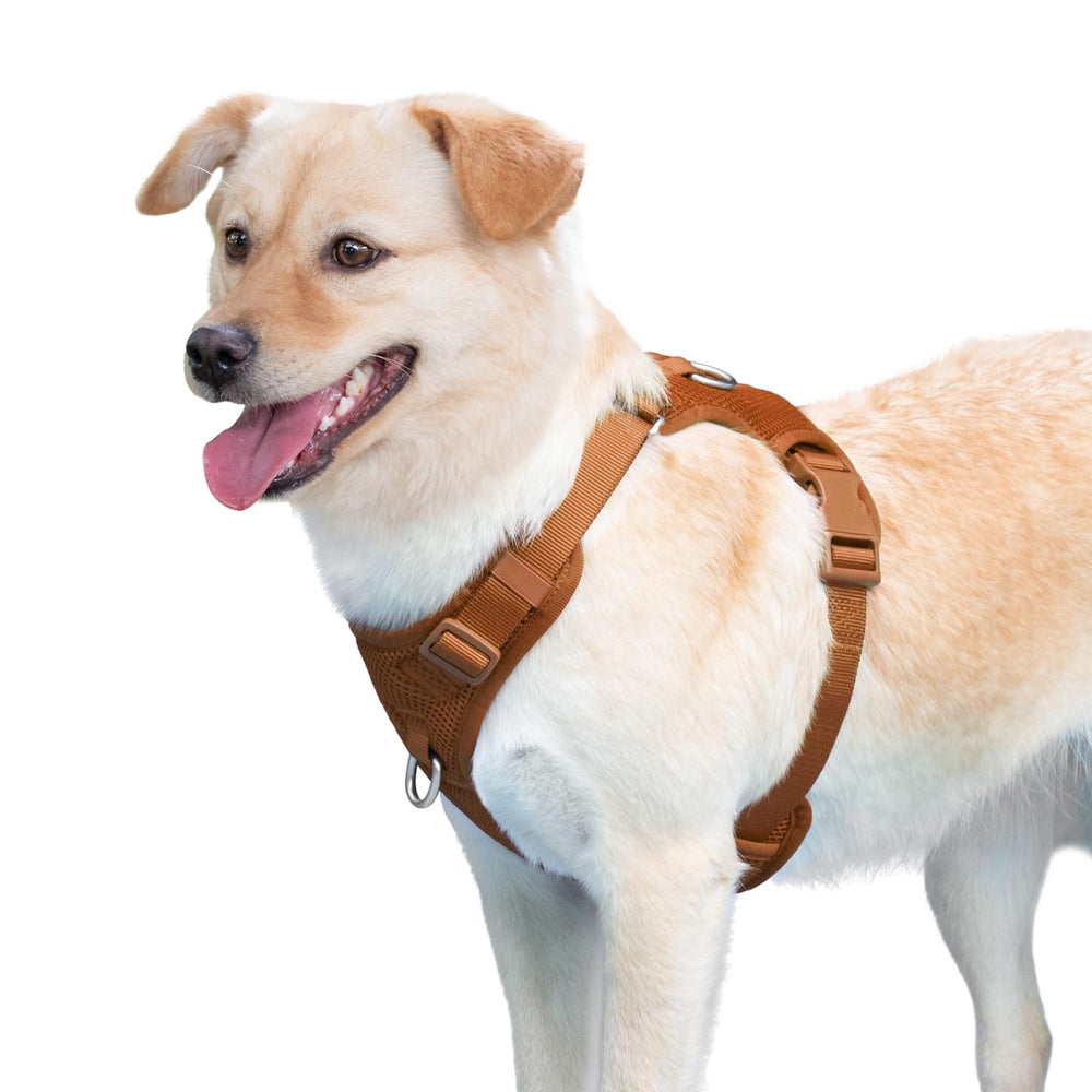 Arnés Sunraymascota cómodo para caminatas largas y juego diario.