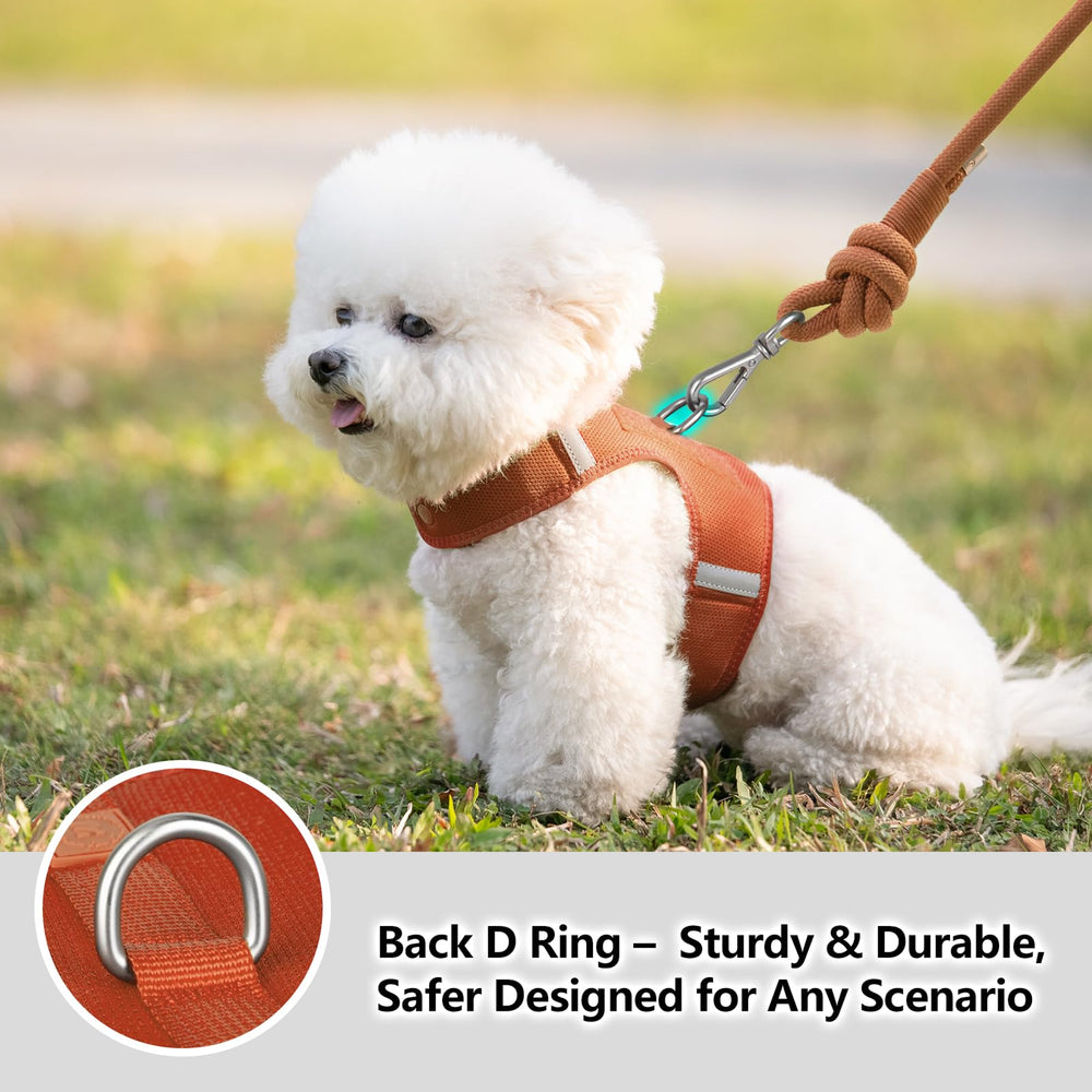 Sunraymascota arnés diseño para perros pequeños, comodidad y libertad de movimiento