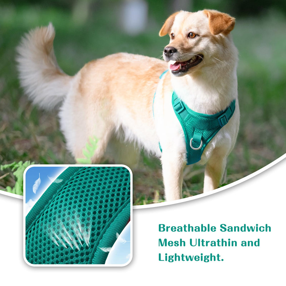 Arnés Sunraymascota con malla transpirable para clima cálido