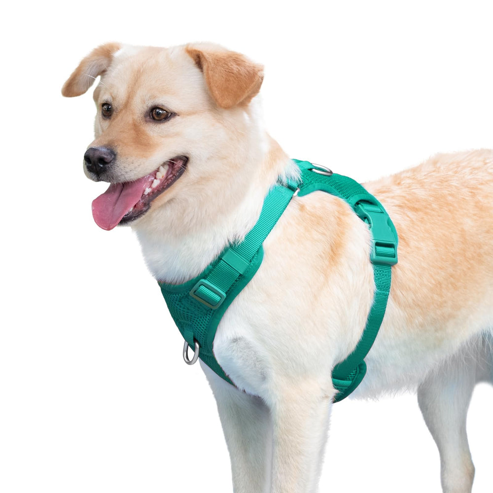 Arnés Sunraymascota ideal para paseos y senderismo al aire libre