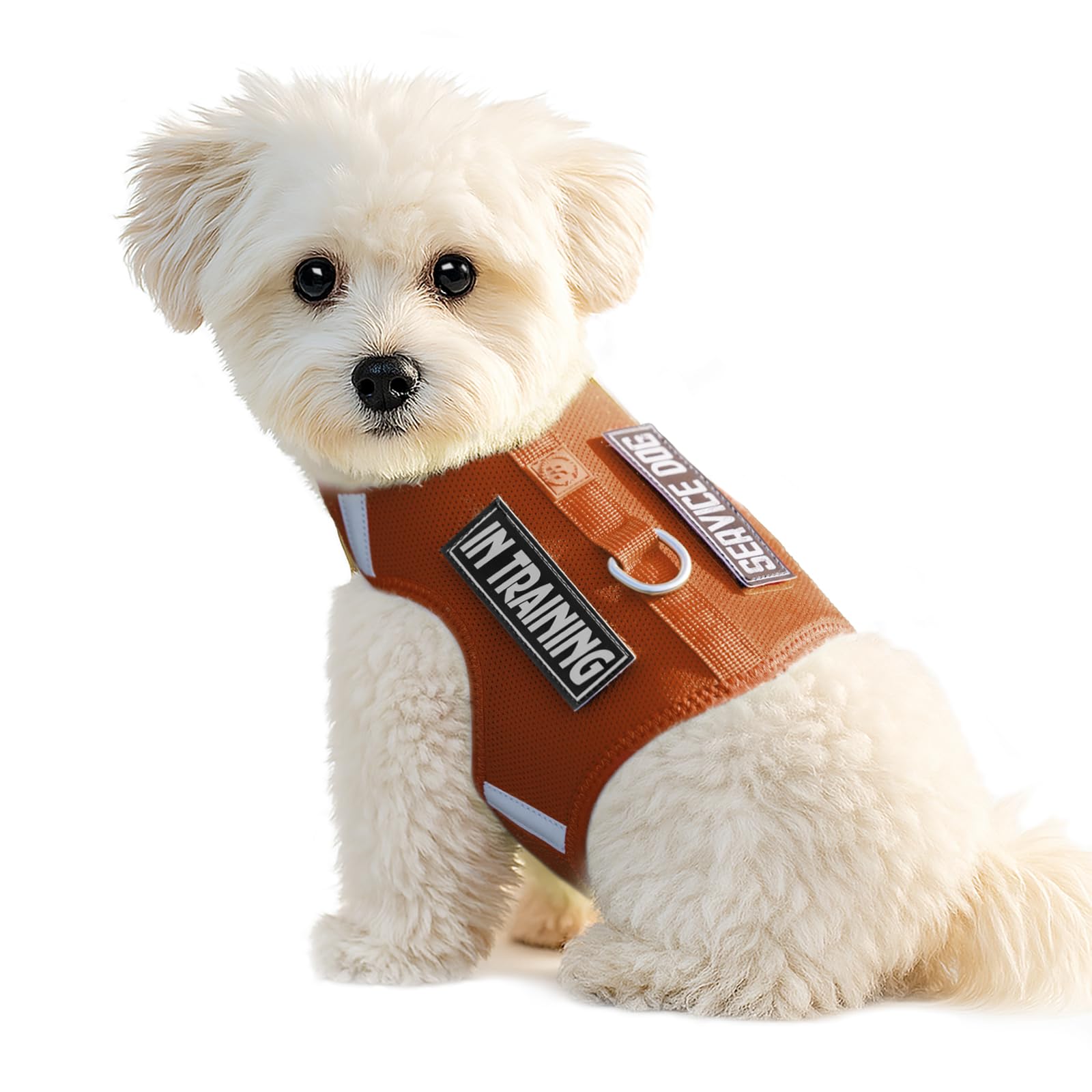Sunraymascota arnés para perrito ajustable y reflectante para paseos seguros