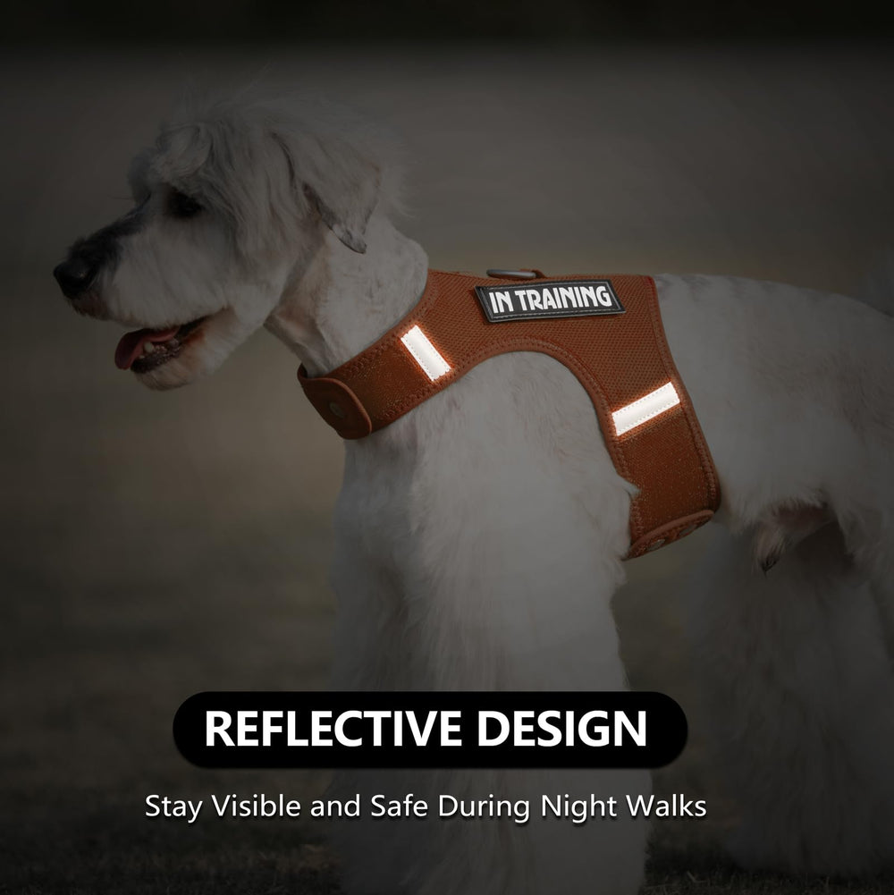 Sunraymascota arnés para perrito con parches intercambiables para estilo