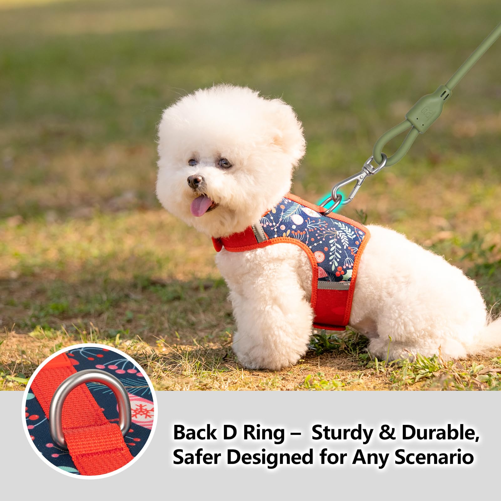 Arnés Sunraymascota en malla suave para paseos prolongados.
