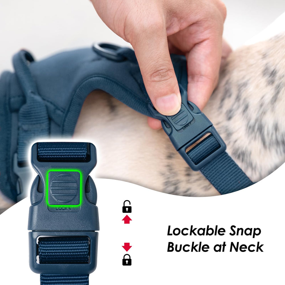 Sunraymascota arnés con anillo dorsal para caminatas diarias seguras.