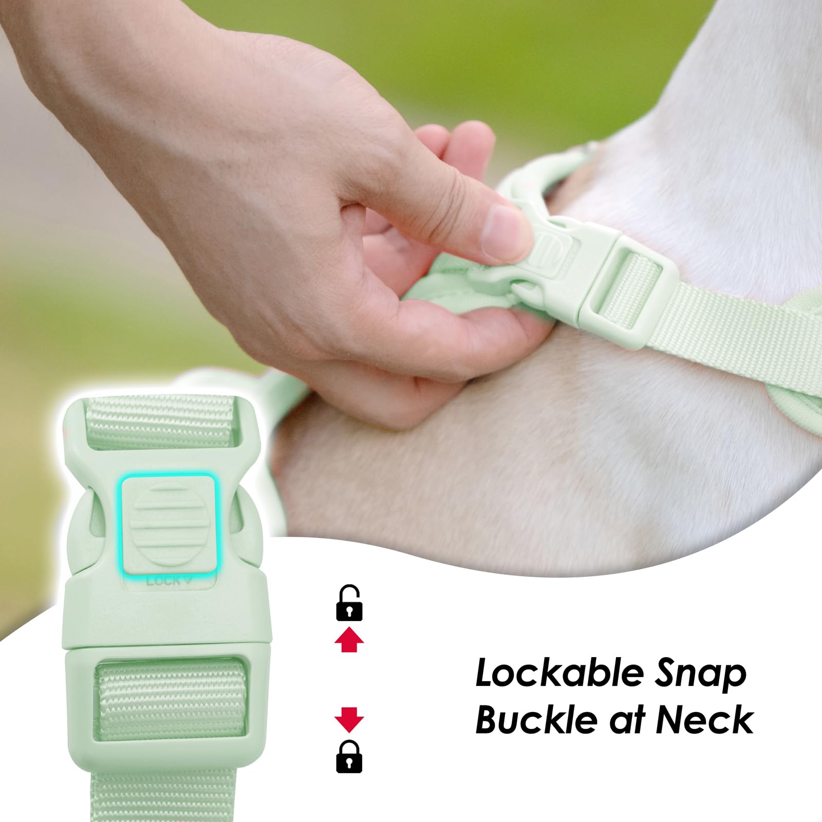 Sunraymascota arnés con dos anillos para control sin tirar.