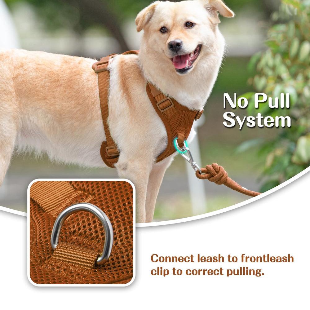 Arnés Sunraymascota con doble clip frontal y dorsal para mayor seguridad.