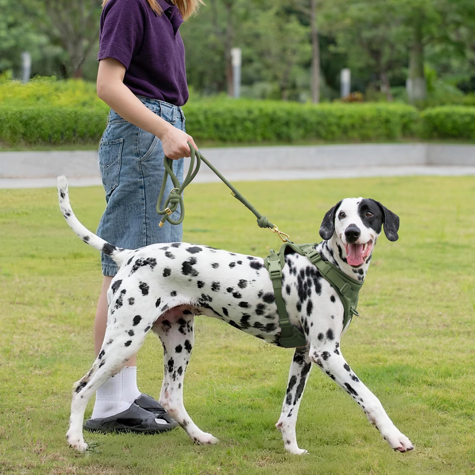 Sunraymascota correa 5 ft para perros medianos y grandes en paseos y entrenamiento.