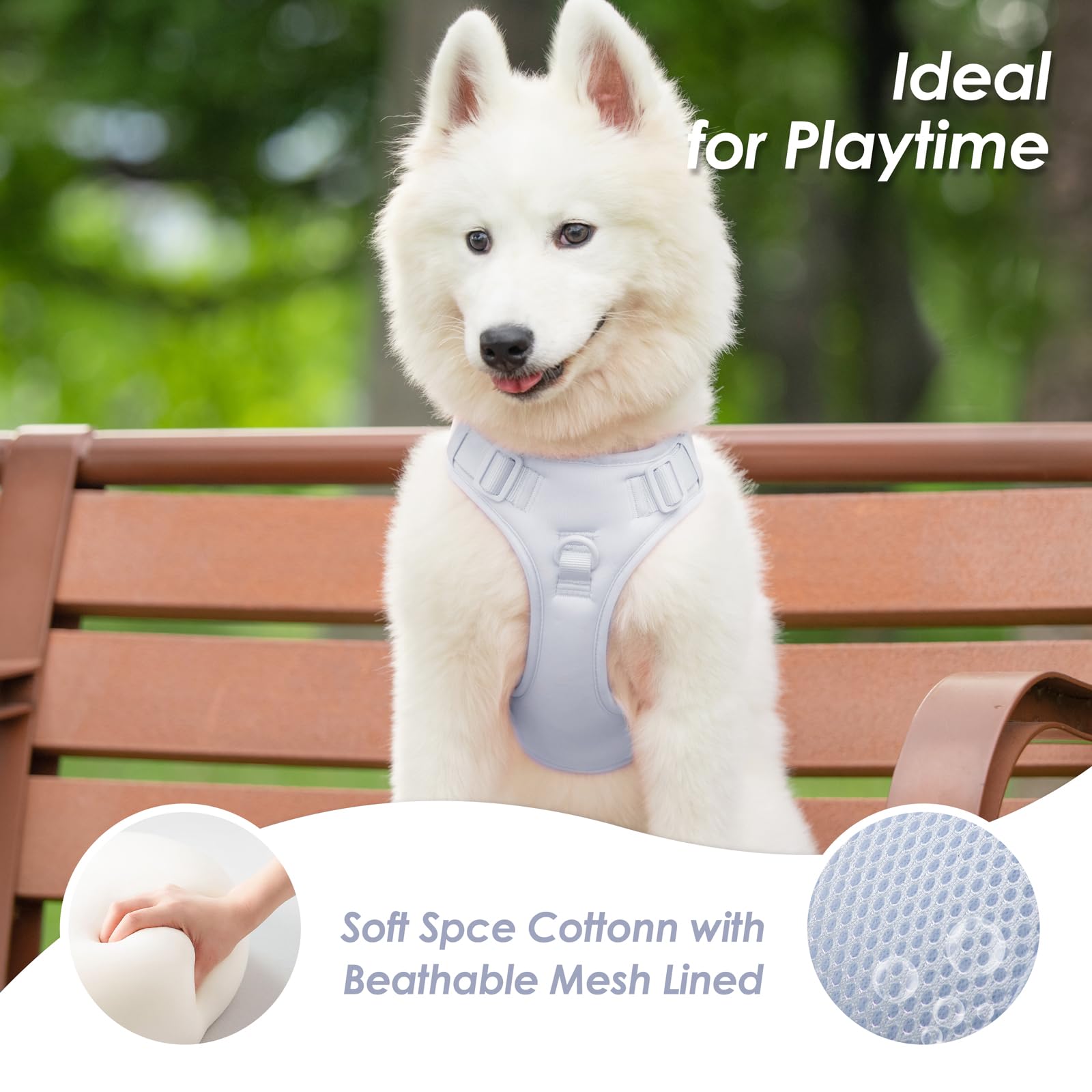 Sunraymascota diseño azul claro para estilo y seguridad.