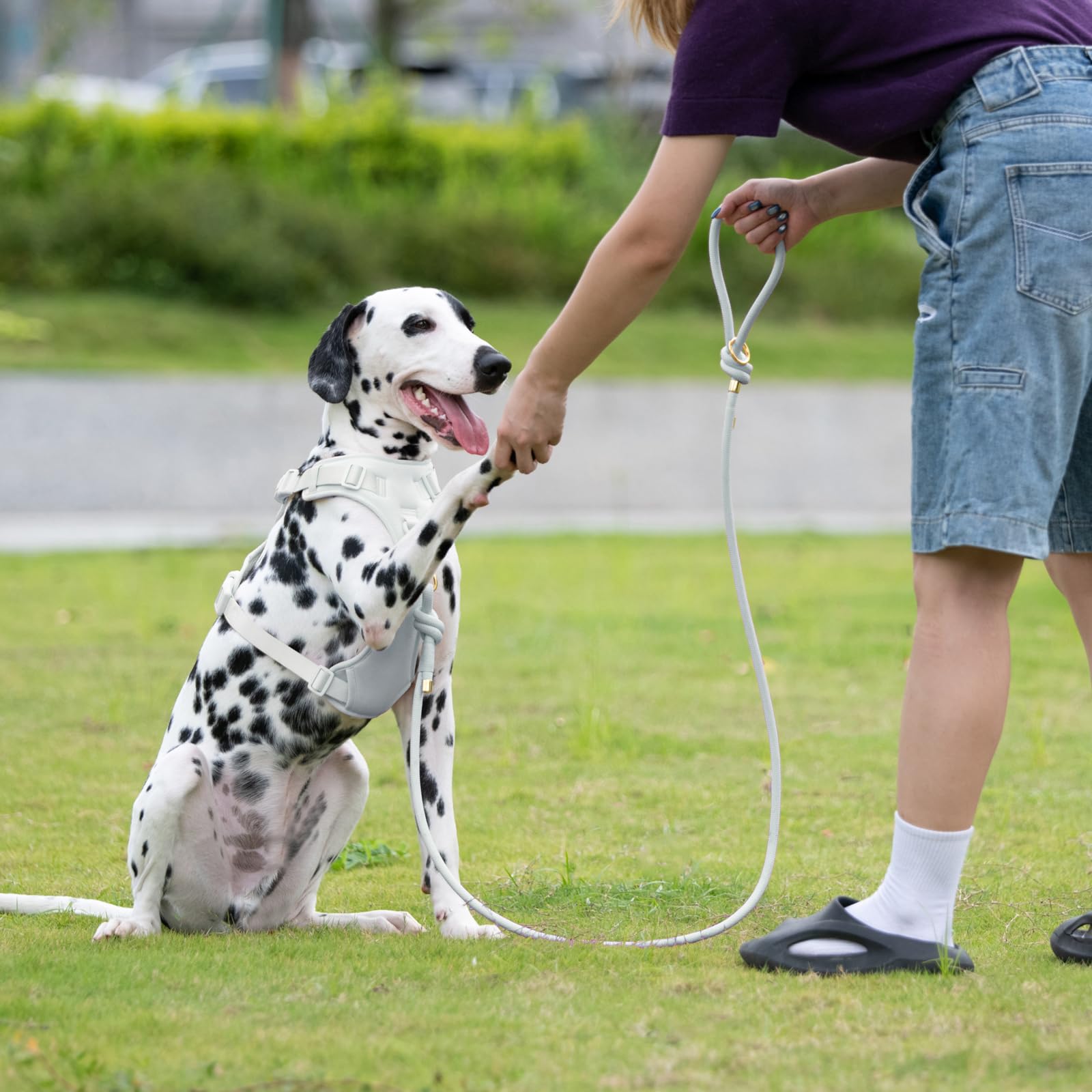 Sunraymascota mango antideslizante para paseos más cómodos