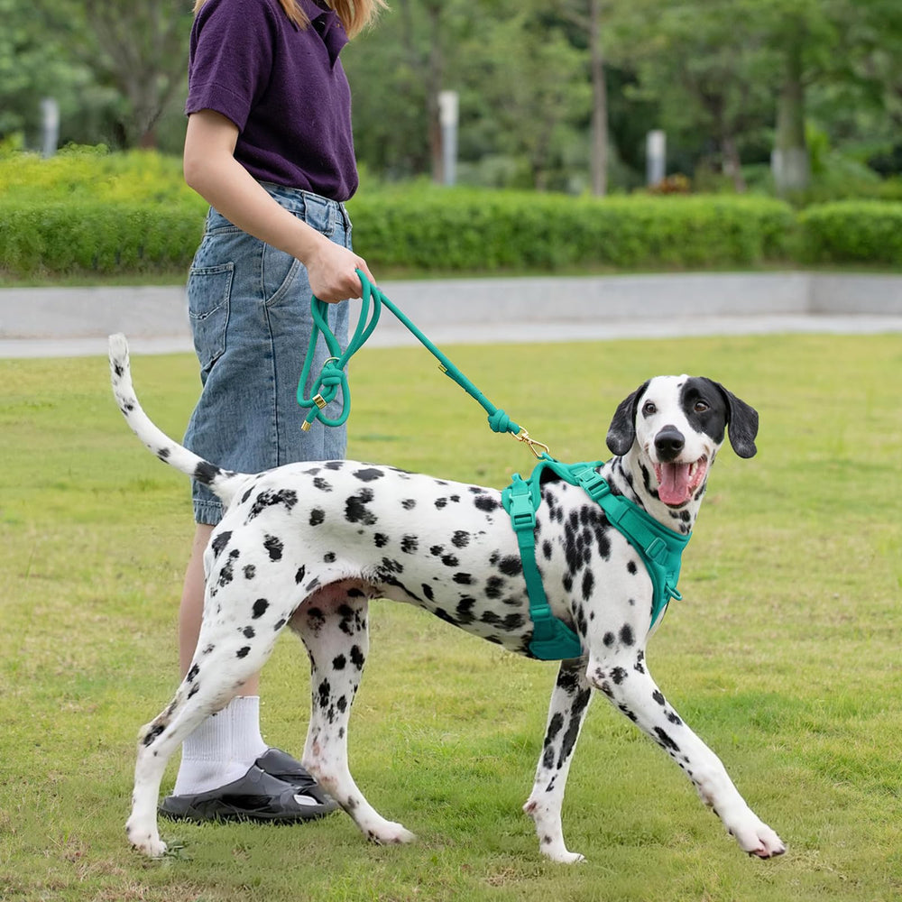 Sunraymascota uso diario para caminatas y entrenamiento ligero