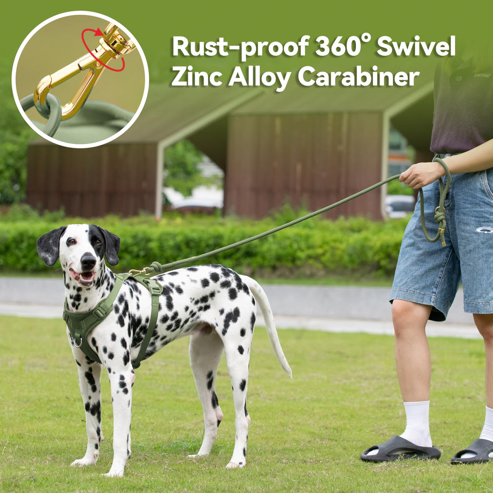 Sunraymascota uso diario ideal para paseos y entrenamiento.